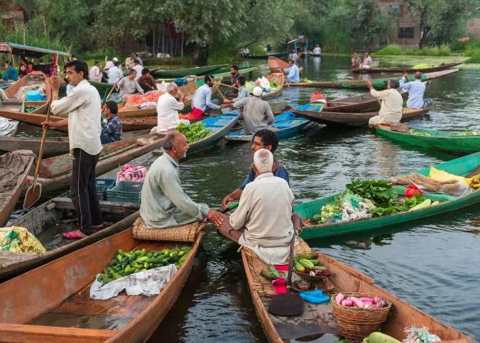 You are currently viewing Catching Sunrise in Kashmir : India’s Floating Market on Dal Lake