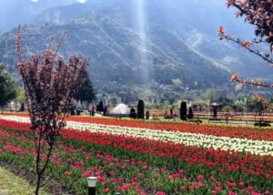 Read more about the article Top 10 Tourist Places to Visit in Kashmir
