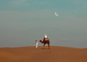 Read more about the article In the Thar Desert on a Shoestring Budget!!