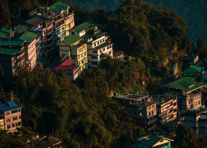 Searching for Cafe in Sikkim? Explore 10 Best Cafés In Sikkim You Must Try