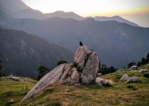 Read more about the article 5 Reasons Why Triund is the Perfect Weekend Trek