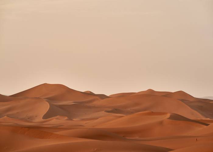 There is a Desert Person in All of us which can’t Keep Calm Today