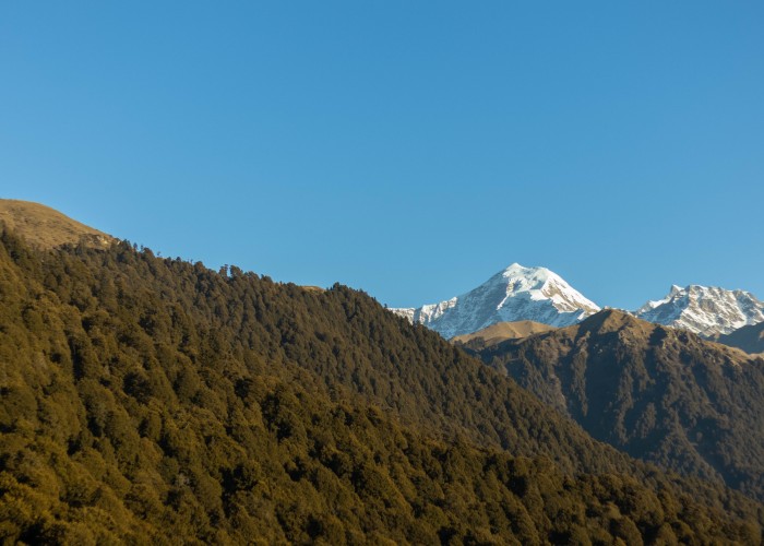 With Less Crowd & Lots Of Snow, Dayara Bugyal Awaits For You
