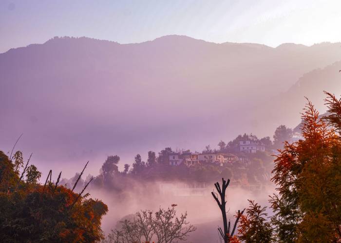 Binsar