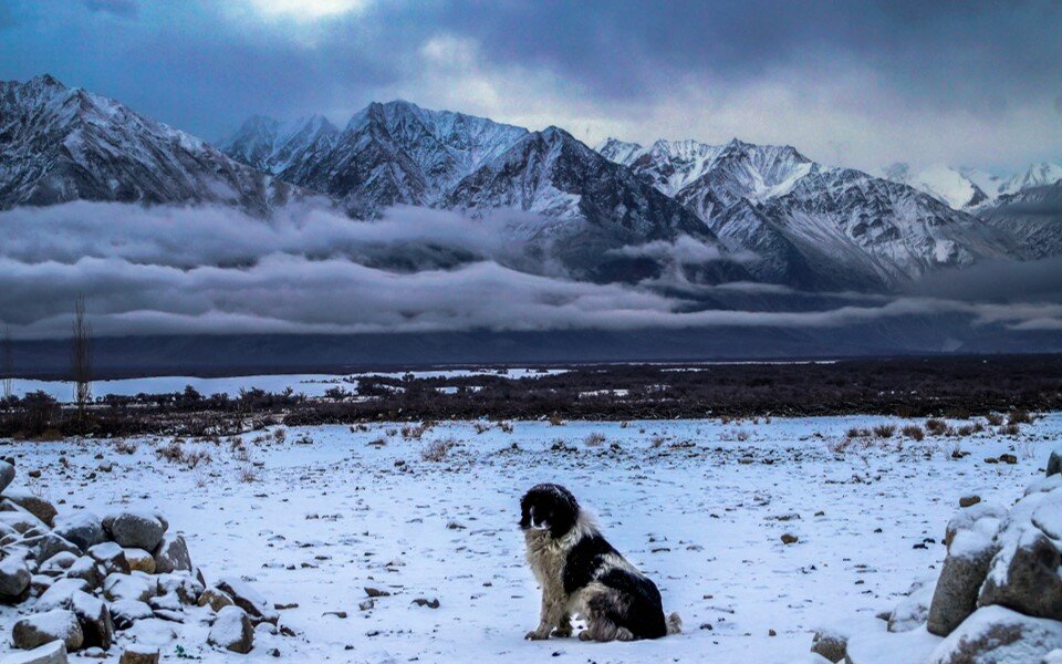 Winter Ladakh Drive
