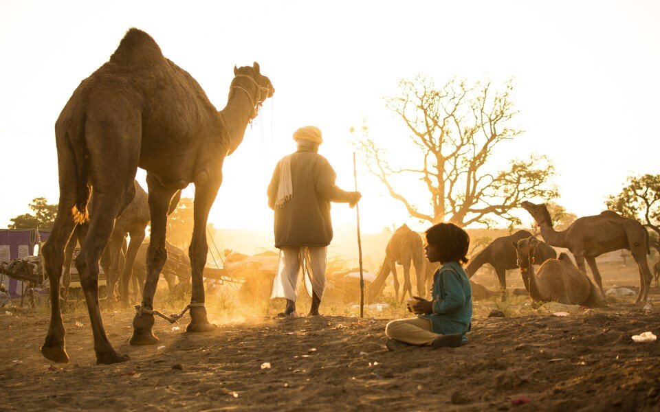 You are currently viewing Village Tour Pushkar