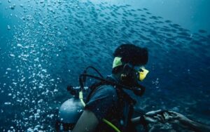 Read more about the article Scuba Diving in Goa