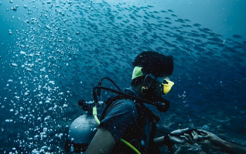 You are currently viewing Scuba Diving in Goa