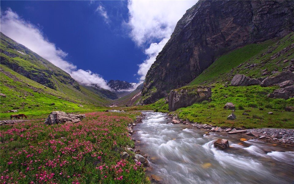 Hampta Pass Circuit Trek