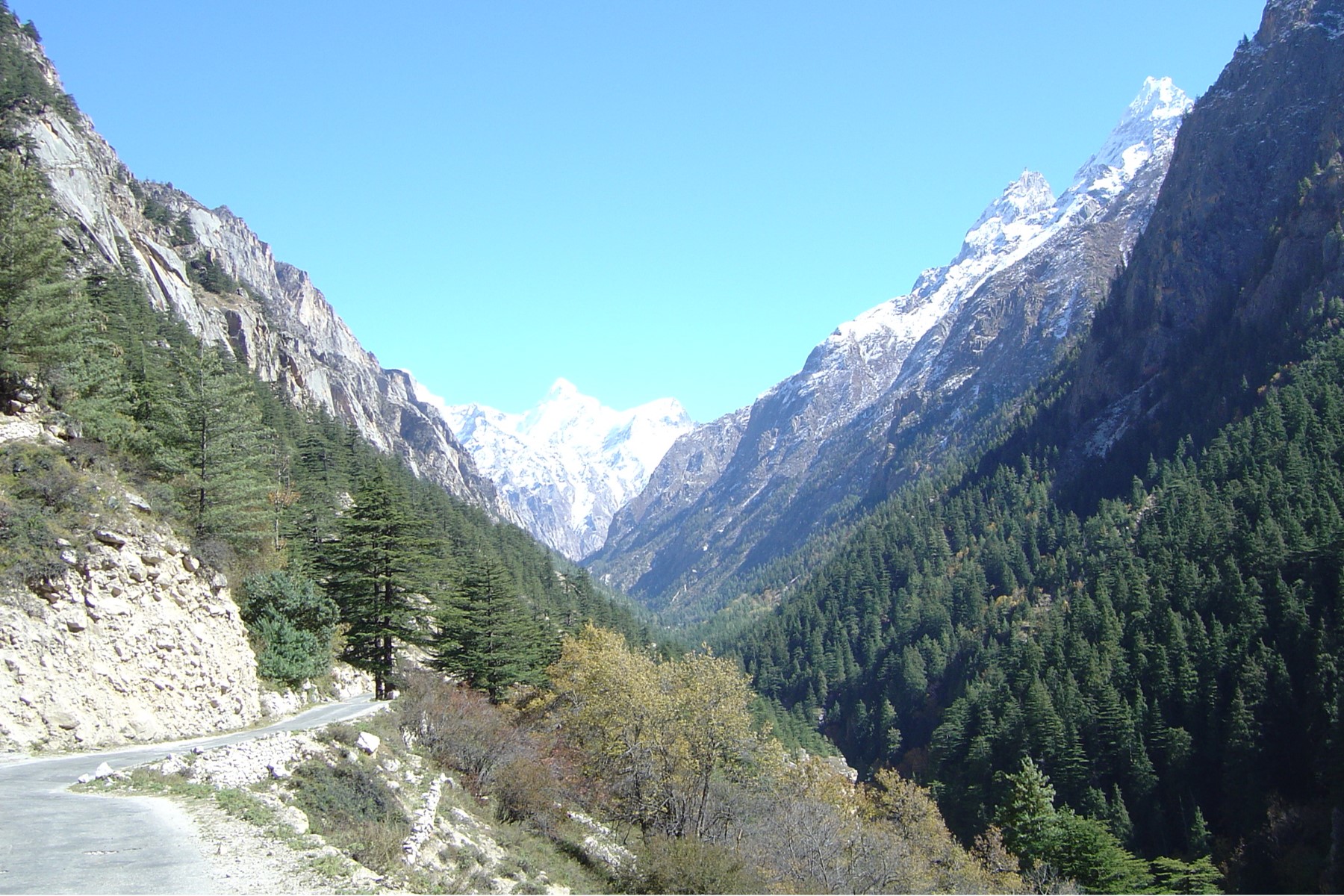 Gangotri 1 | Gangotri Trek