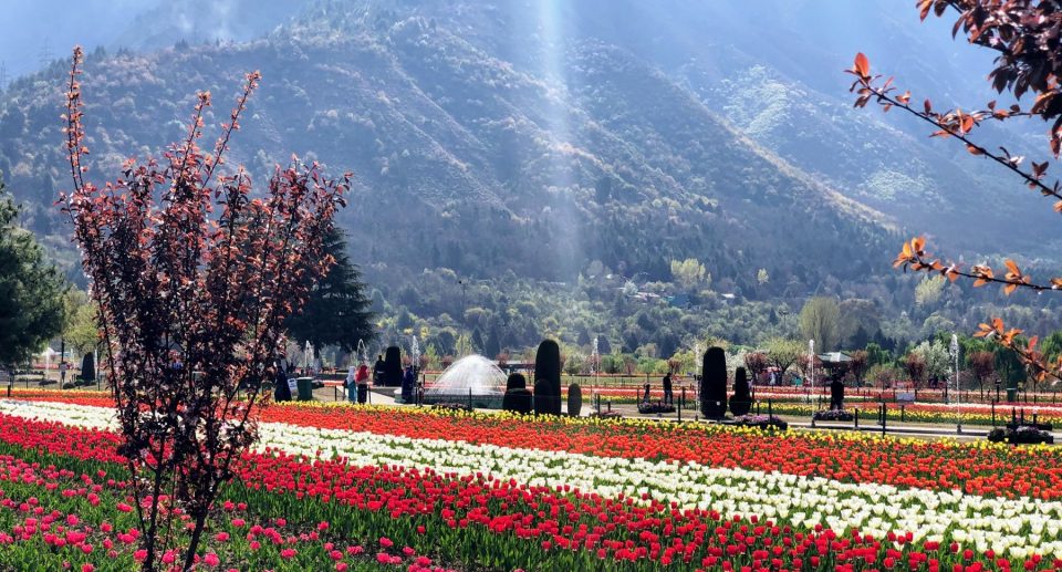 Premium Kashmir Tour Package