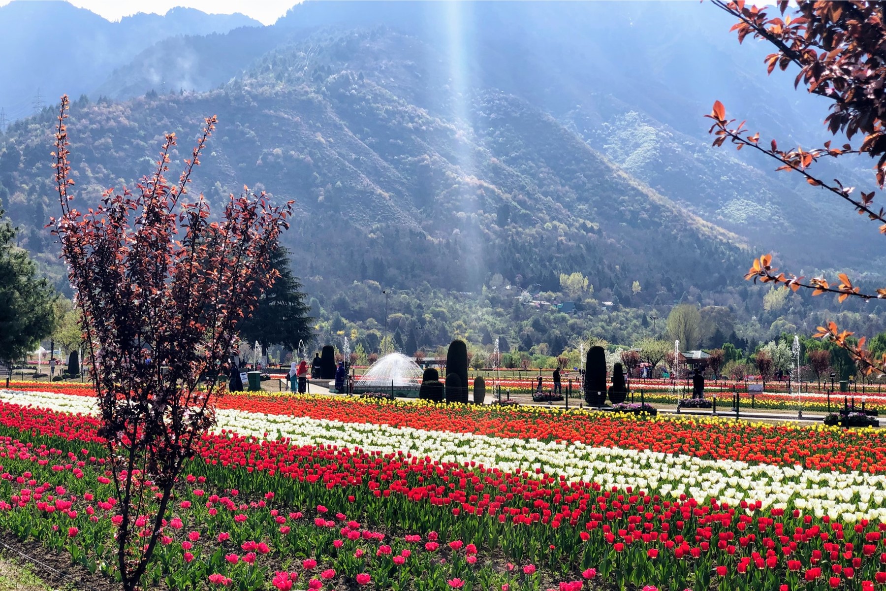 Premium Kashmir Tour Package