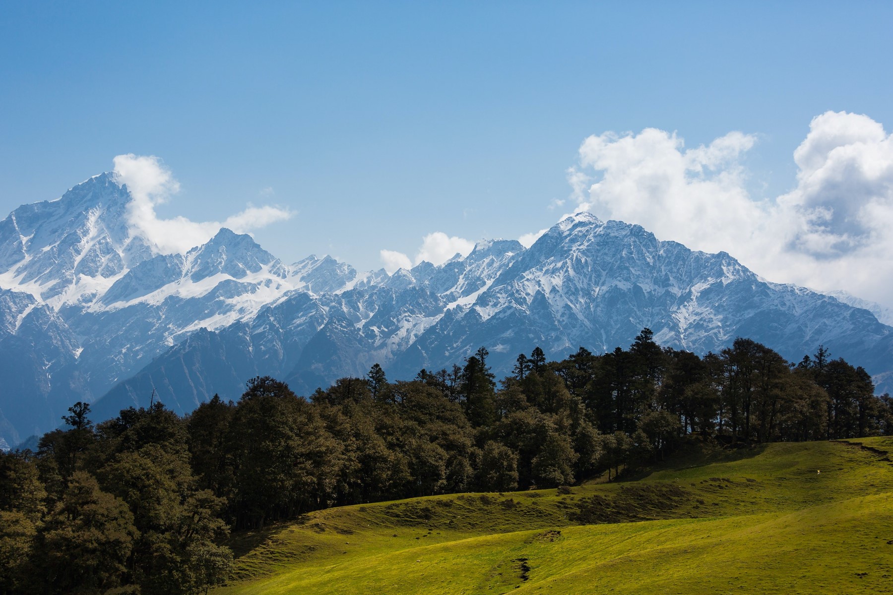 Auli Chopta Tour Package