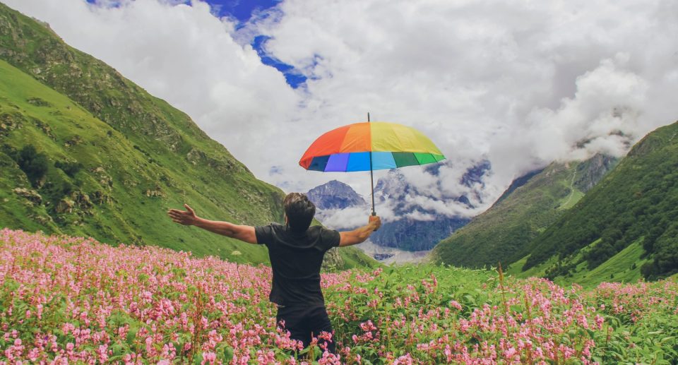 Valley Of Flowers Trek