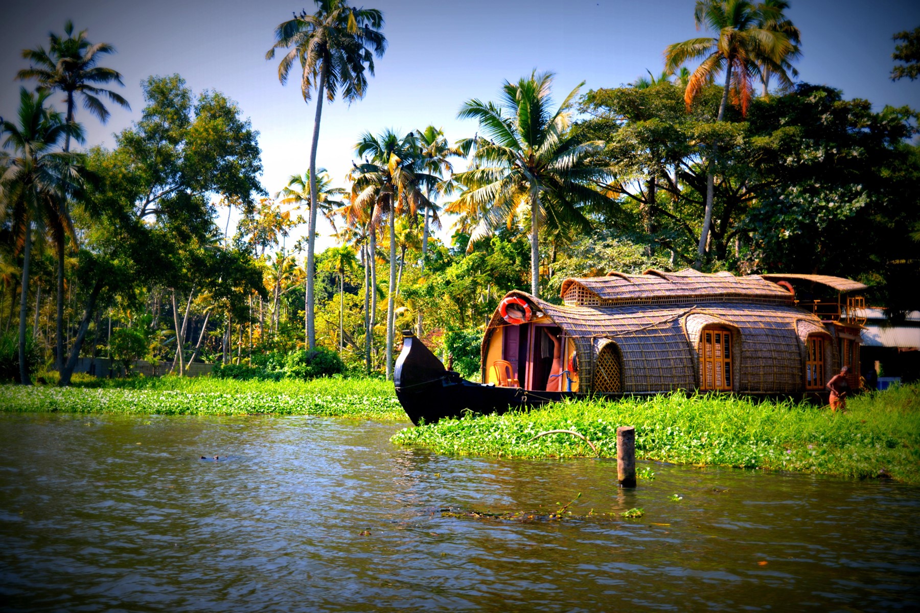 You are currently viewing Kerala Tour Southern Getaway