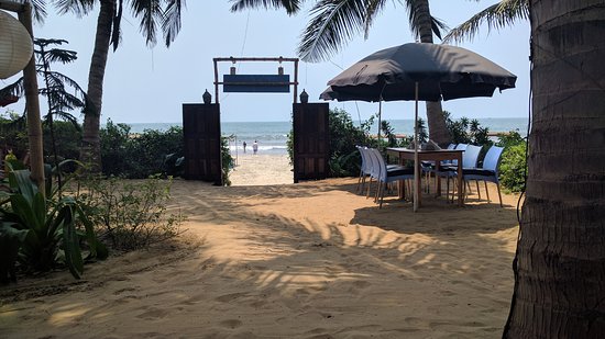 Best Beach Shacks in Goa