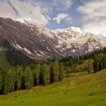 Best National Parks in Himachal Pradesh