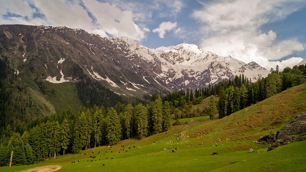 Top 5 National Parks in Himachal Pradesh for Nature Lovers