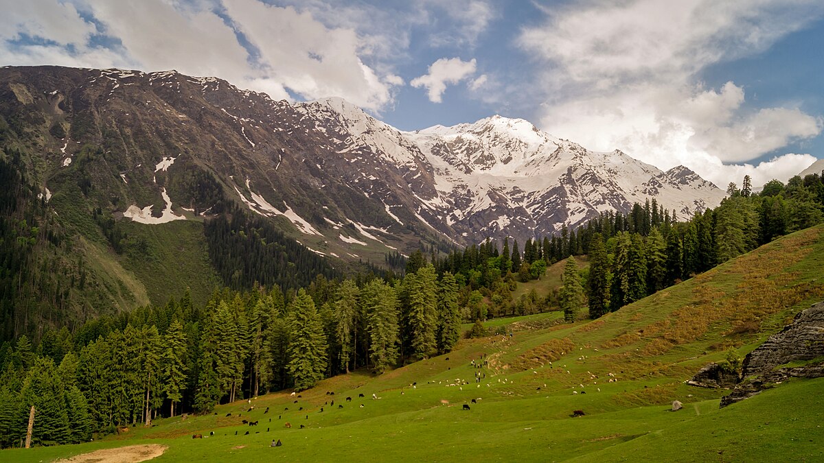 You are currently viewing Top 5 National Parks in Himachal Pradesh for Nature Lovers