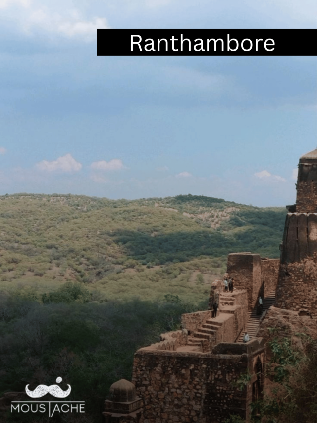 Ranthambore: Where Tigers Roam and History Whispers