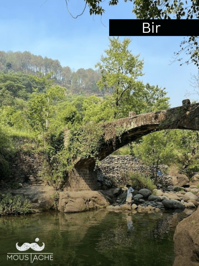 From the Wild to the Serene: Exploring Jawai, Bir & Gangtok