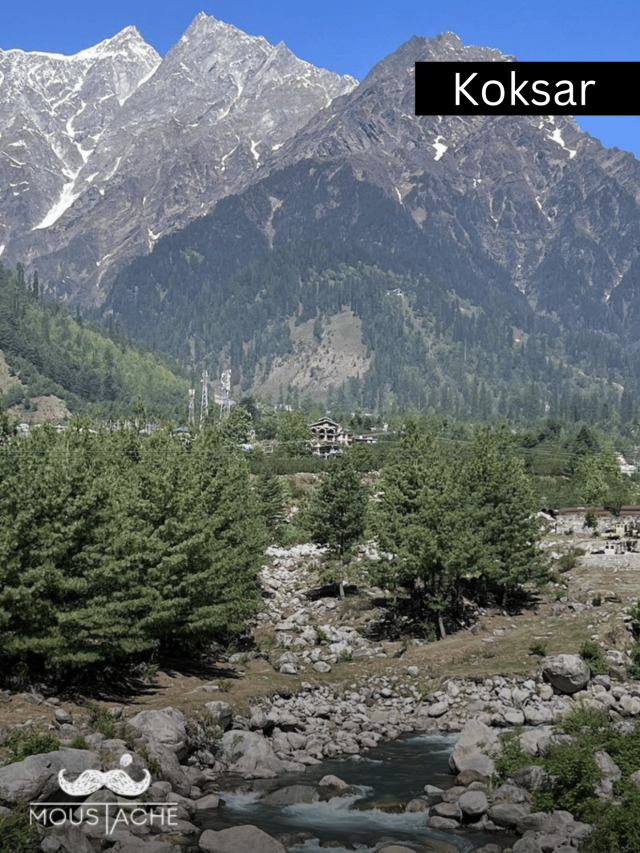 Webstories for Moustache